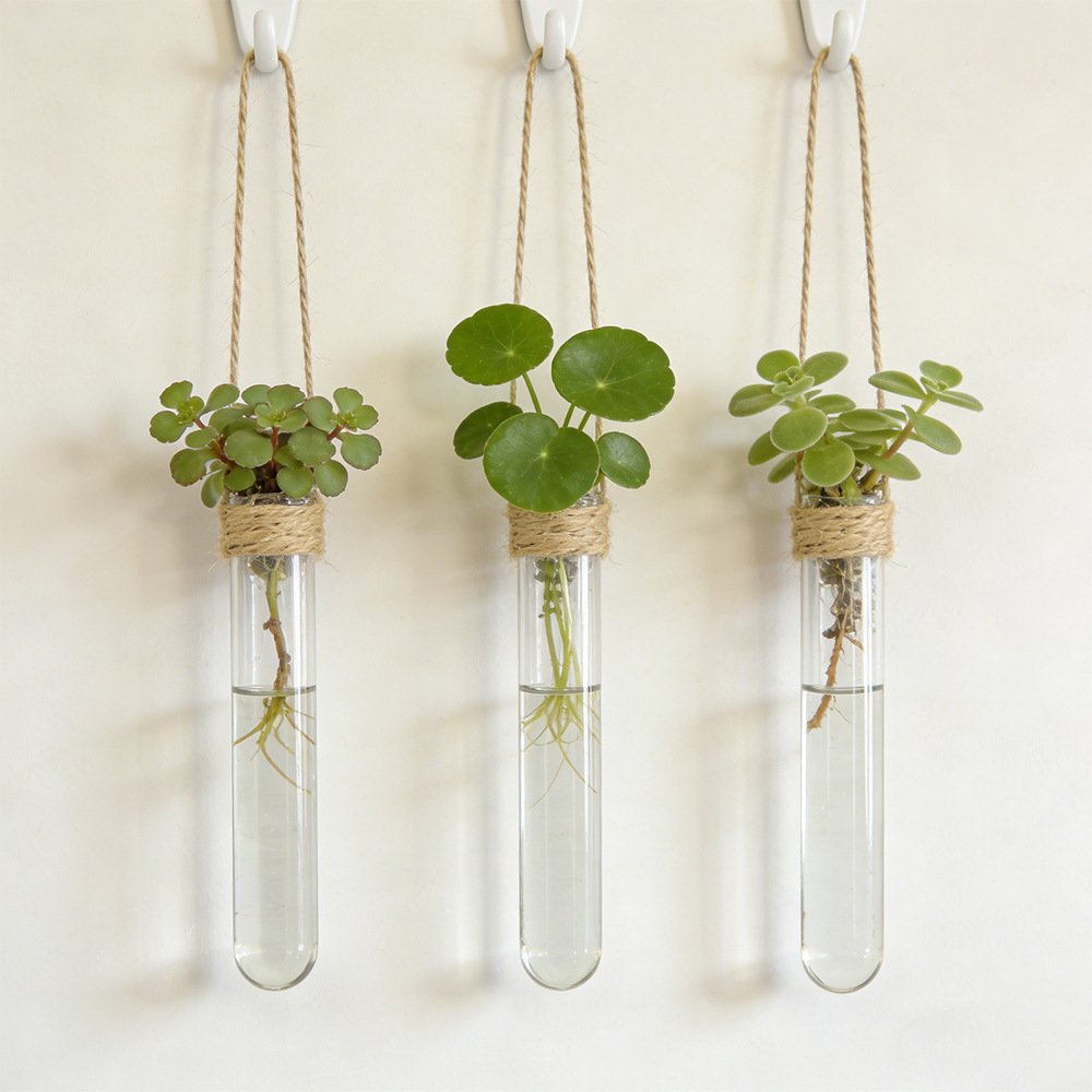 Propagation Station Vase - Настенная гидропонная ваза-колбочка для цветов, держатель