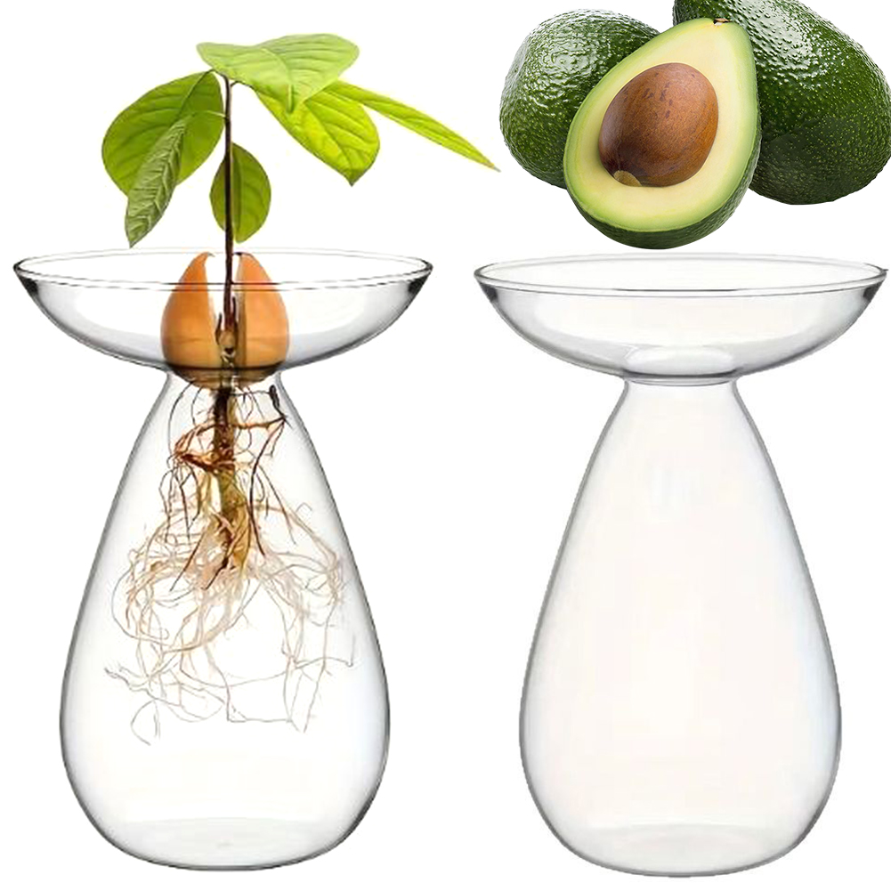 Propagation Station Vase - Прозрачная гидропонная ваза для проращивания семян