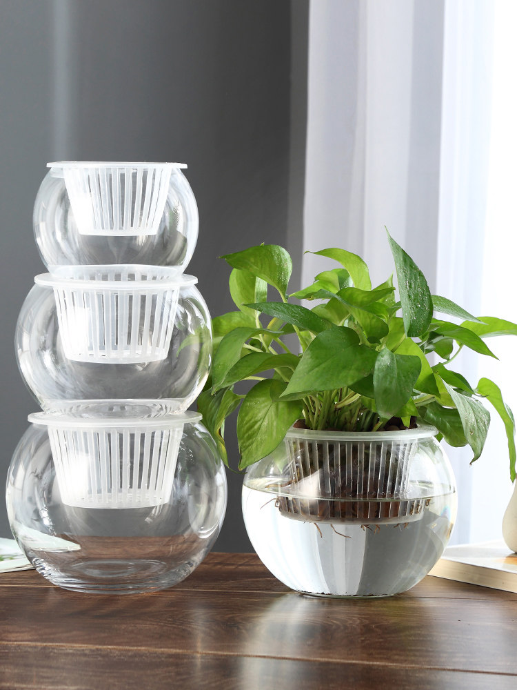 Propagation Station Vase - Гидропонная стеклянная ваза для размножения растений,