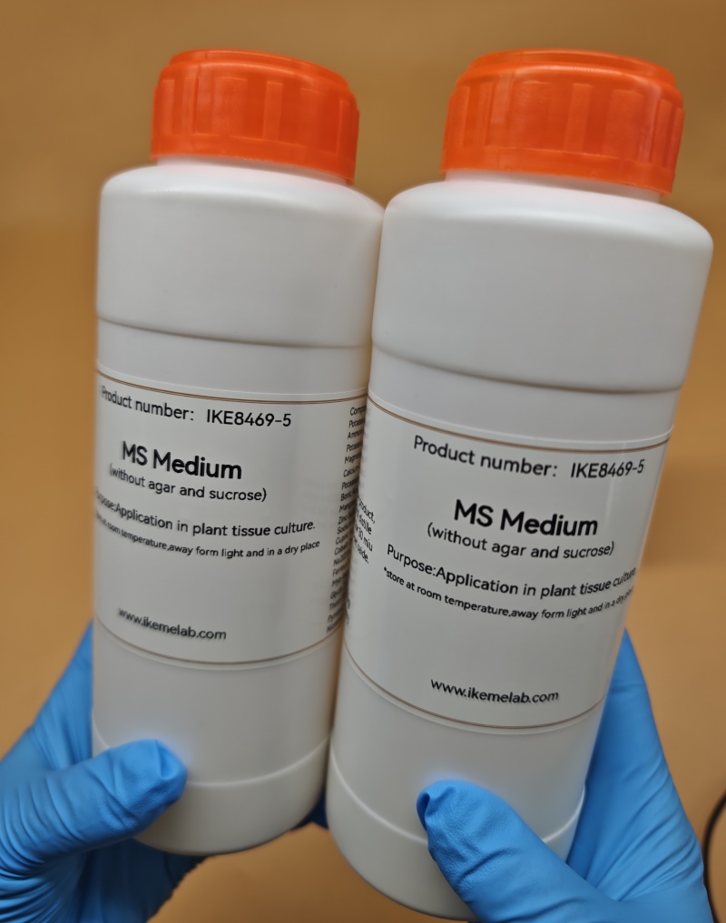 IKEME 250 г Lab MS Средний без – обзор и цена Agar Tissue Culture