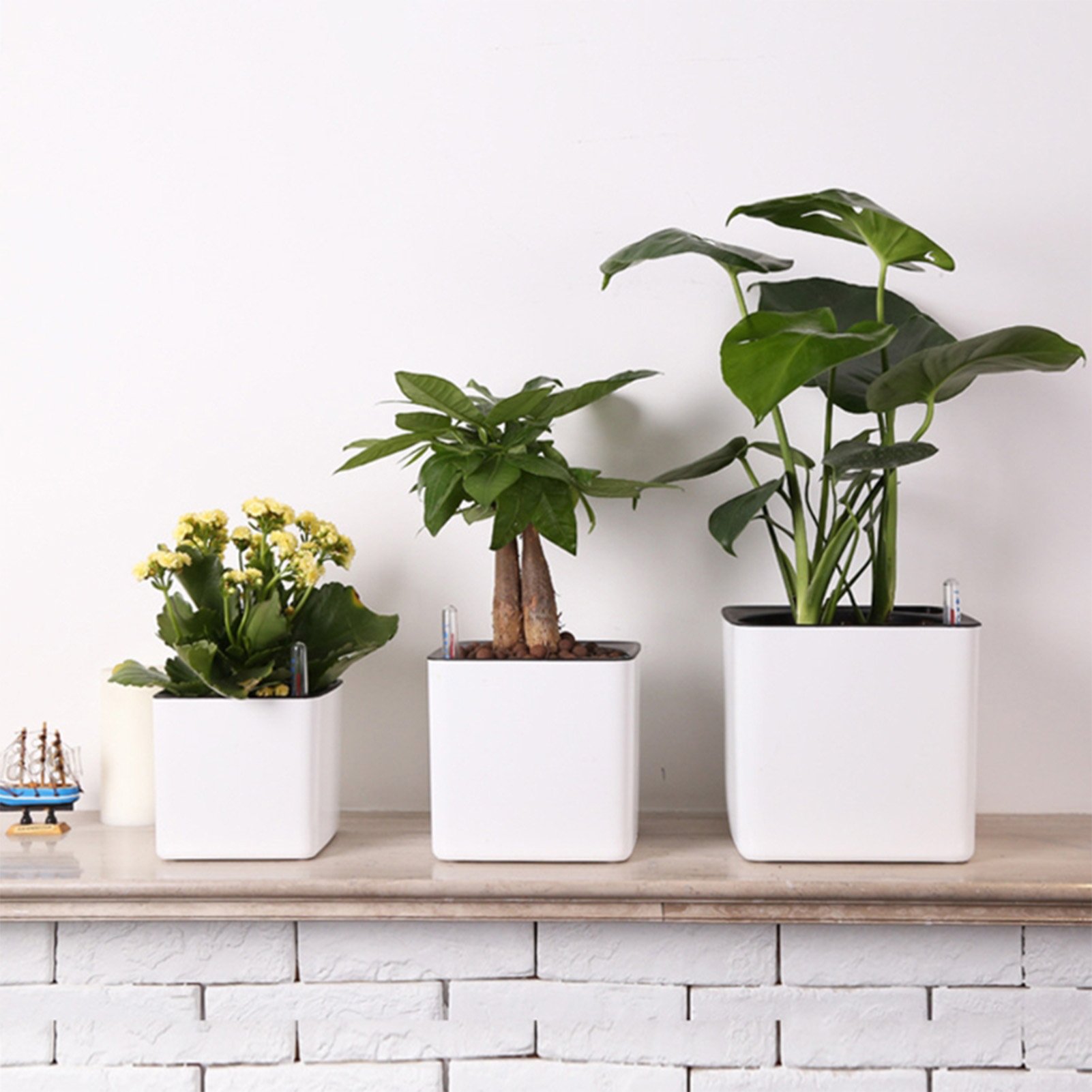 Автоматический самополивающийс – обзор и цена Self Watering Insert
