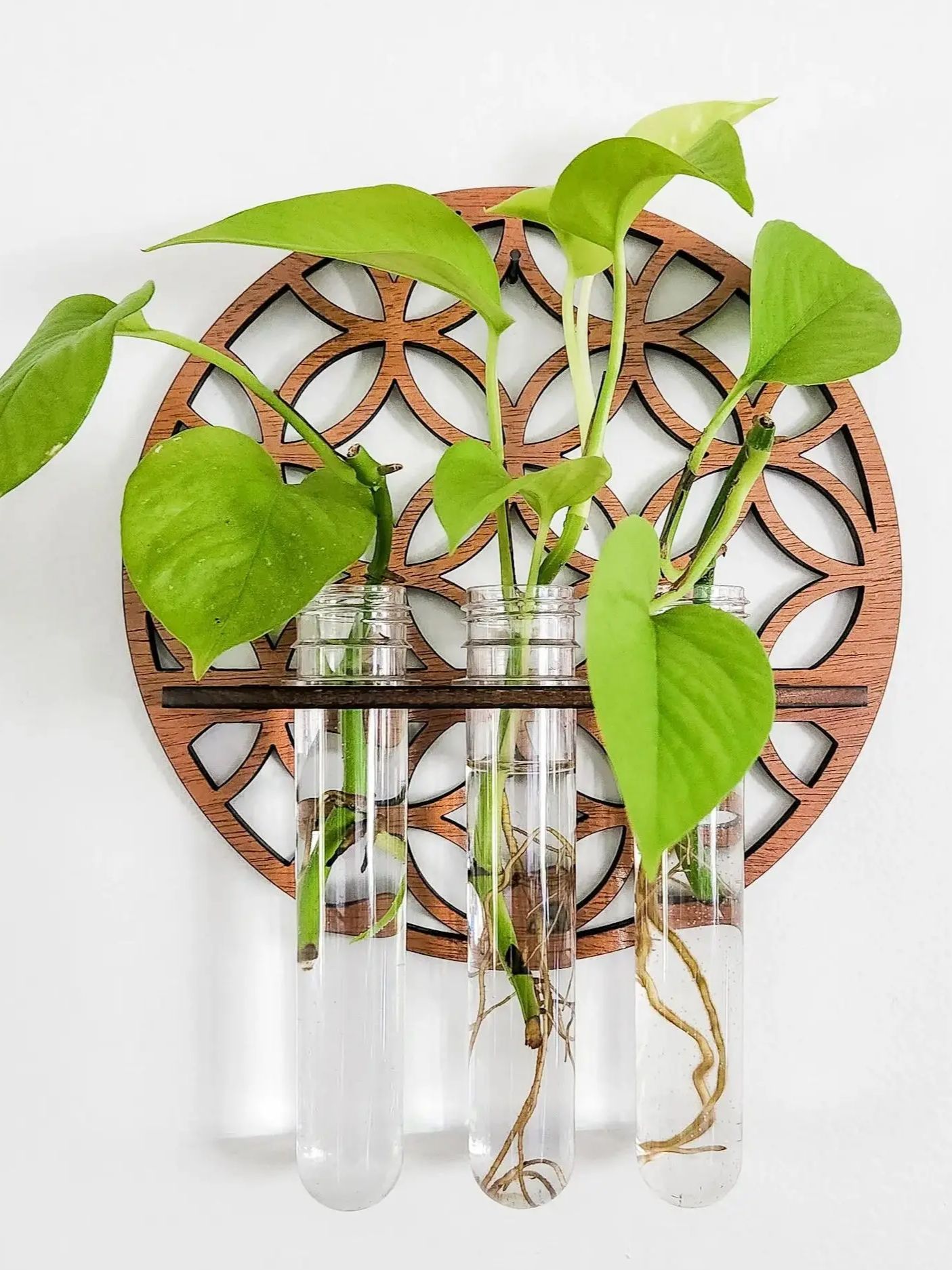 Садовые настенные горшки, комн – обзор и цена Propagation Station Vase