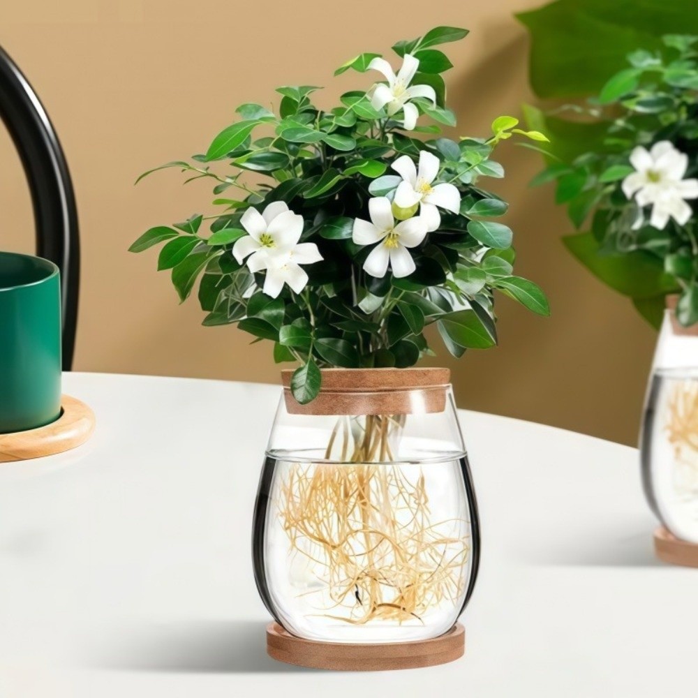 Прозрачный гидропонный цветочн – обзор и цена Propagation Station Vase