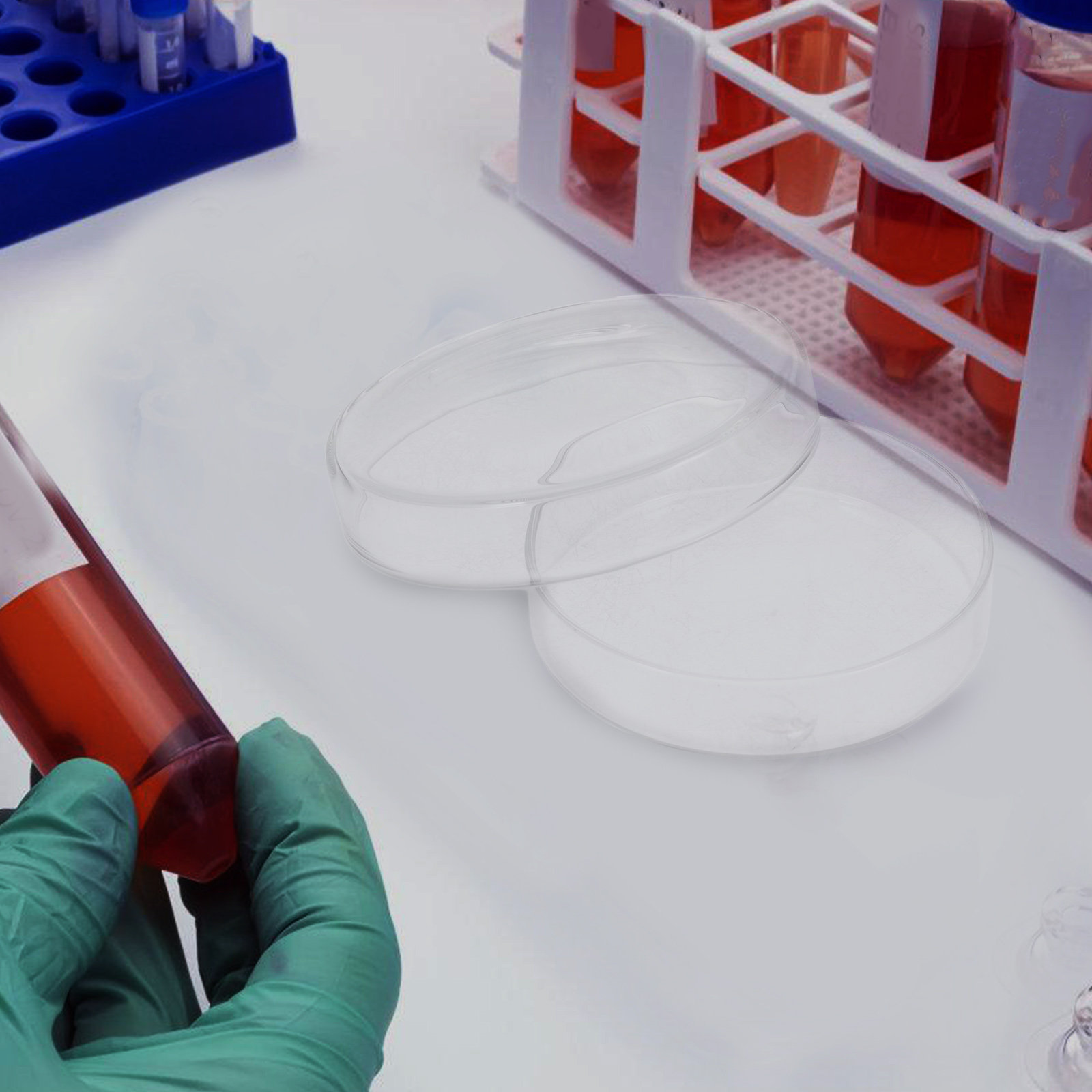 Чашка Петри из высокоборосилик – обзор и цена Agar Tissue Culture
