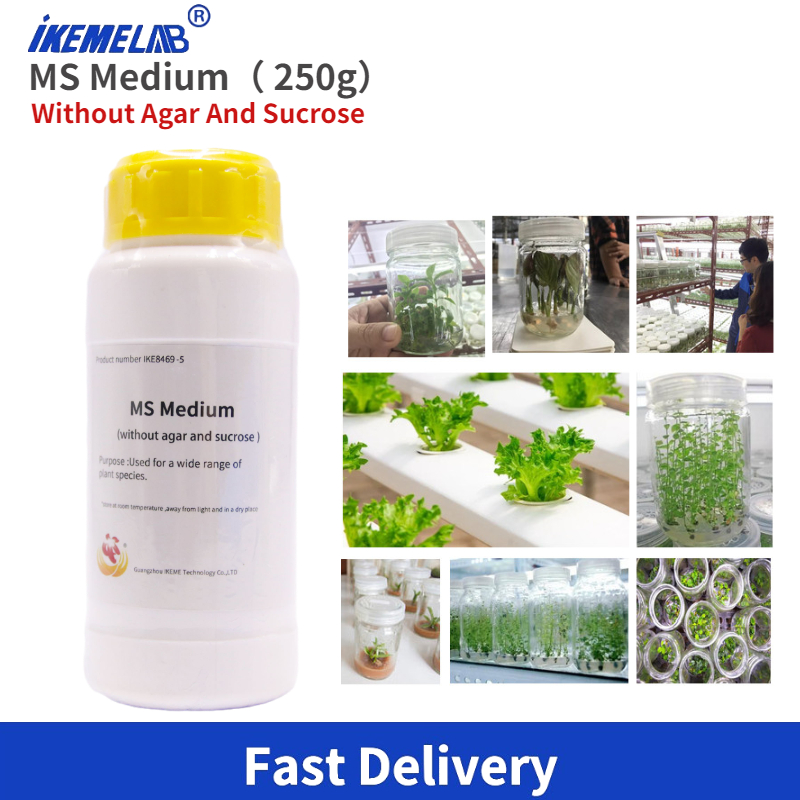 IKEME Lab MS Средний 250 г без – обзор и цена Agar Tissue Culture