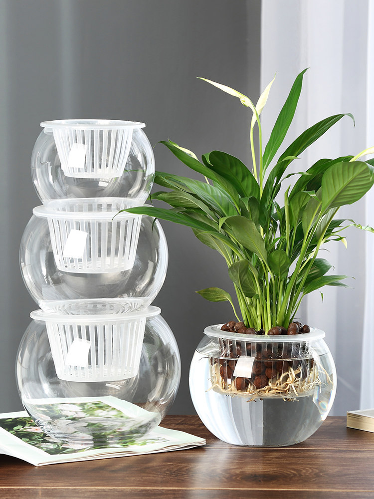Гидропонная стеклянная ваза дл – обзор и цена Propagation Station Vase